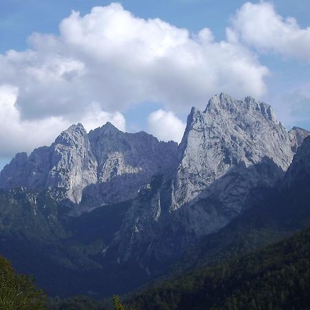 Appartement Lisa Schweiger Kirchberg in Tirol Bagian luar foto