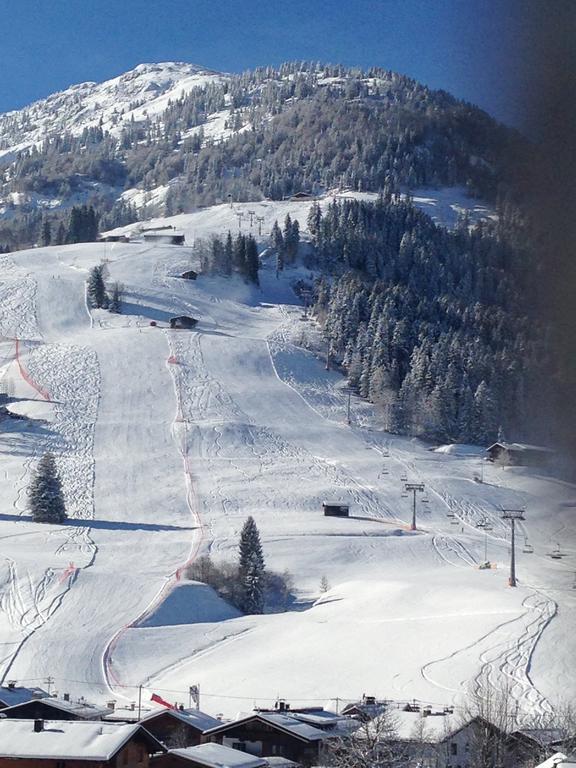 Appartement Lisa Schweiger Kirchberg in Tirol Bagian luar foto