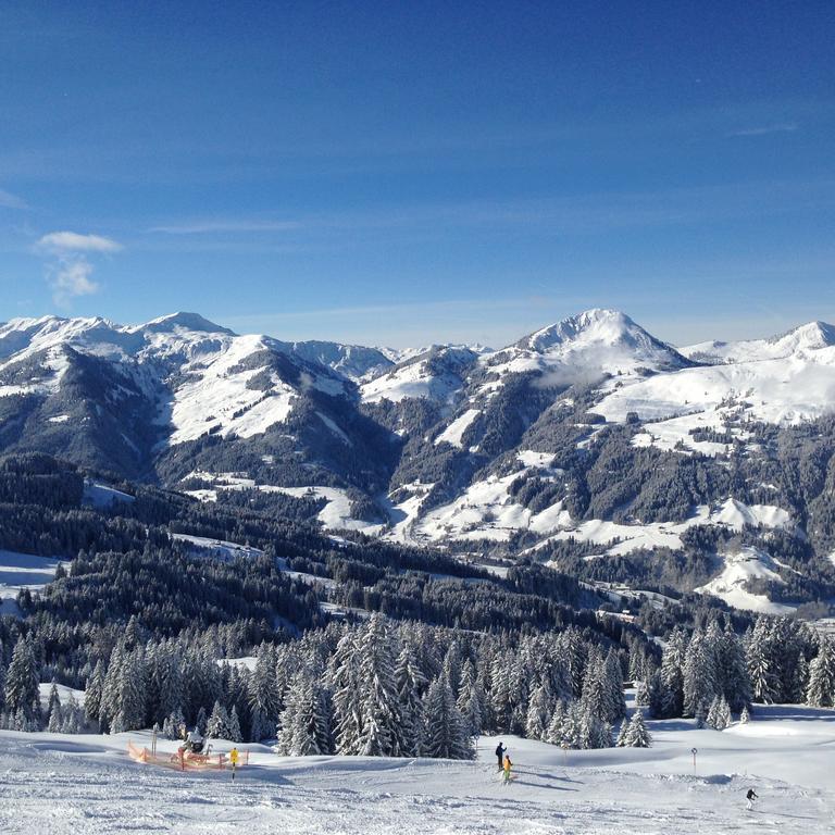 Appartement Lisa Schweiger Kirchberg in Tirol Bagian luar foto