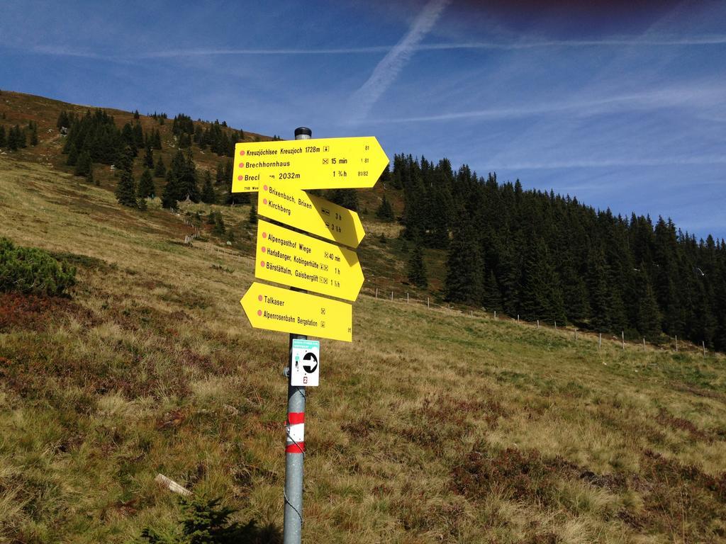 Appartement Lisa Schweiger Kirchberg in Tirol Bagian luar foto