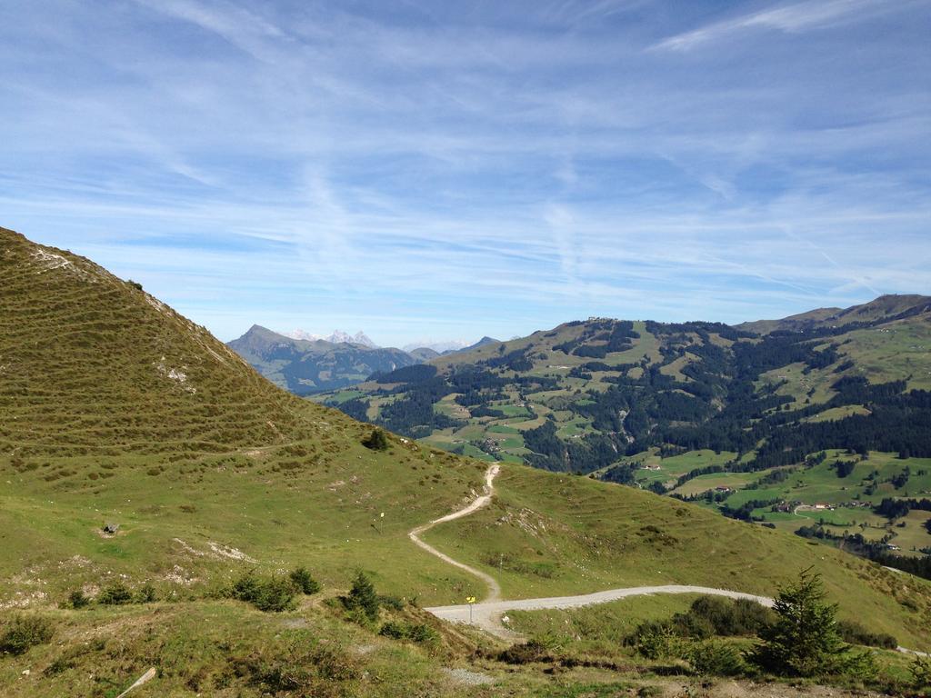 Appartement Lisa Schweiger Kirchberg in Tirol Bagian luar foto