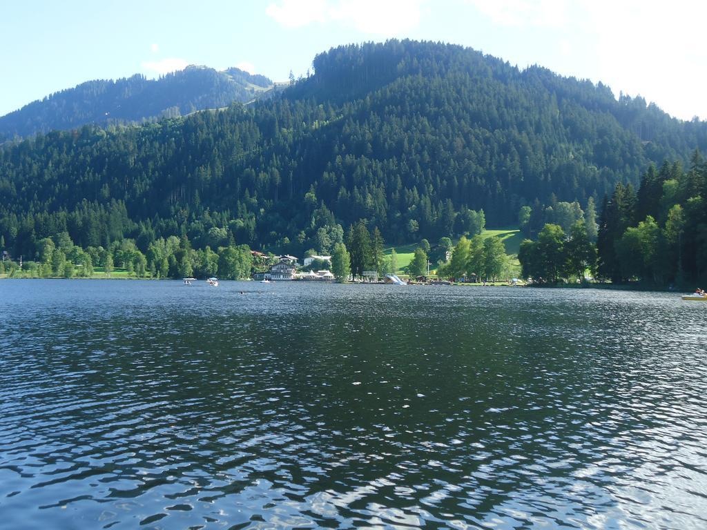 Appartement Lisa Schweiger Kirchberg in Tirol Bagian luar foto