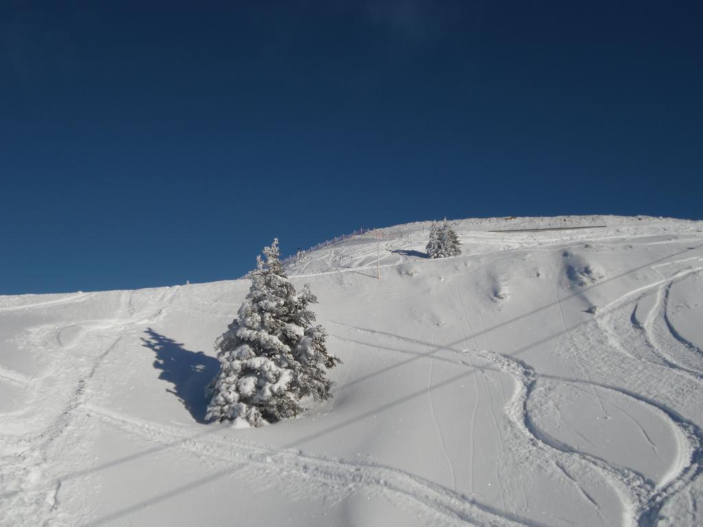 Appartement Lisa Schweiger Kirchberg in Tirol Bagian luar foto