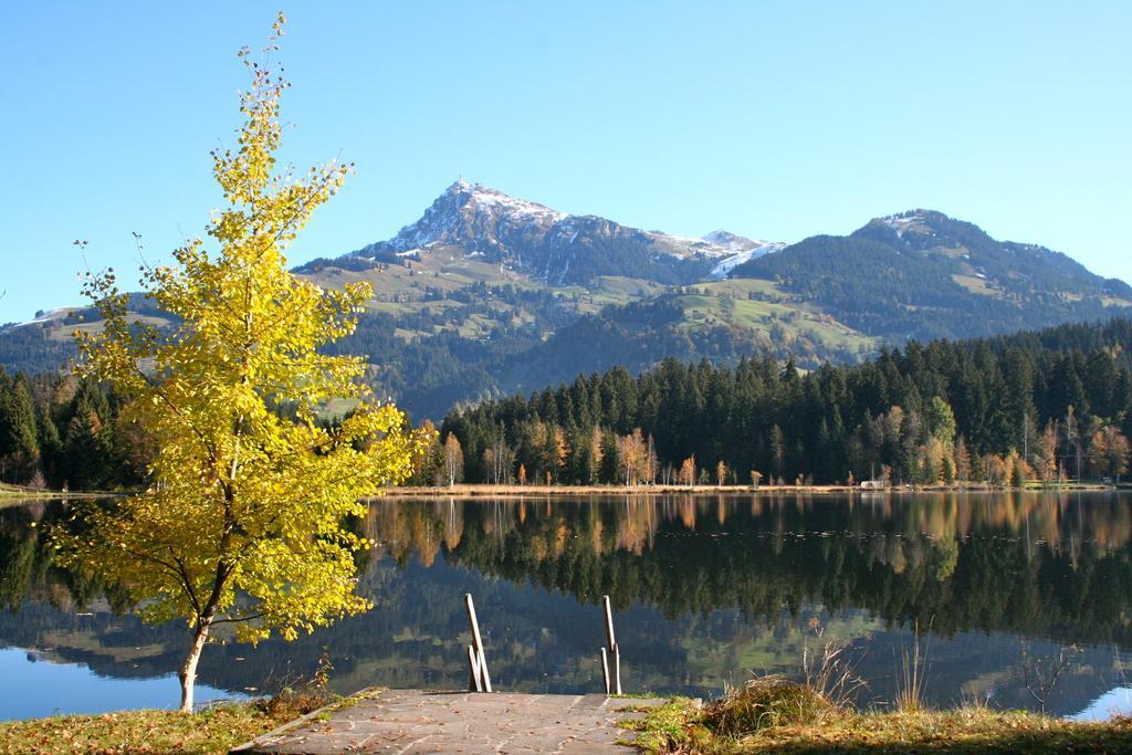 Appartement Lisa Schweiger Kirchberg in Tirol Bagian luar foto